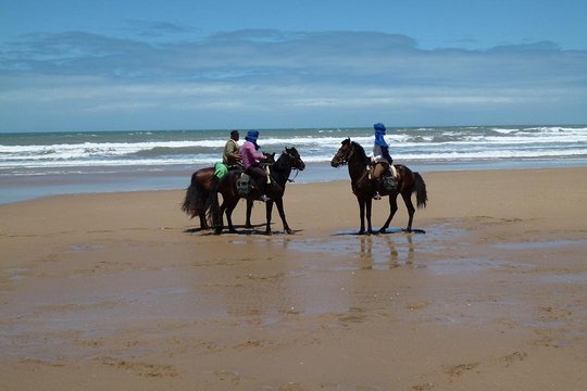 Tour image 1