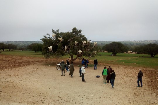 Tour image 1