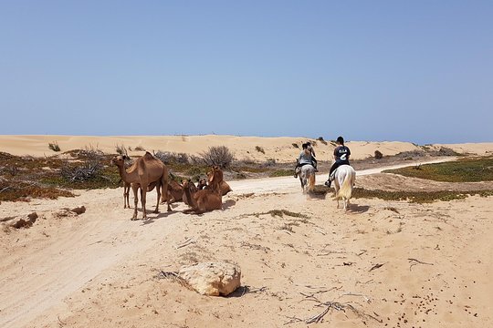 Tour image 3