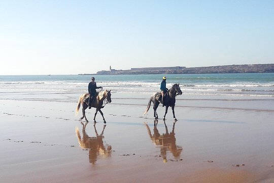 Tour image 7