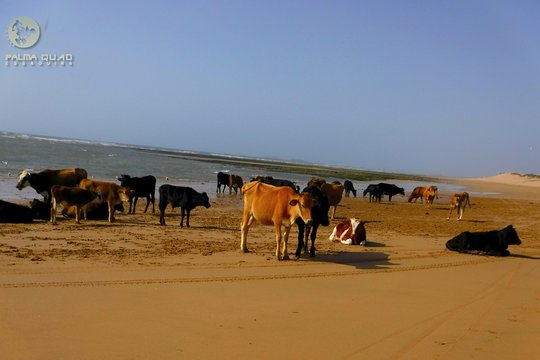 Tour image 5