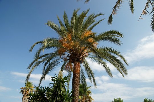 Tour image 8