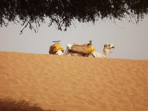 Tour image 1