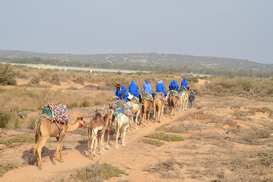 Tour image 4