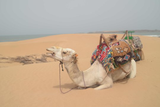 Tour image 5