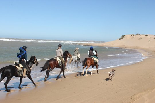 Tour image 2