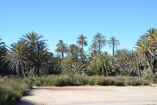 Tour image 2