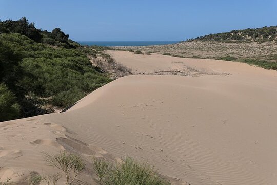 Tour image 4