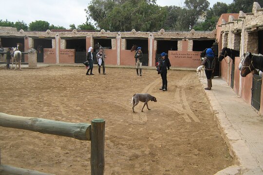 Tour image 6