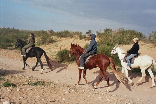 Tour image 2