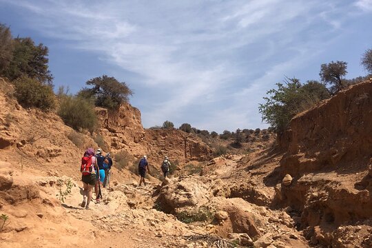 Tour image 12