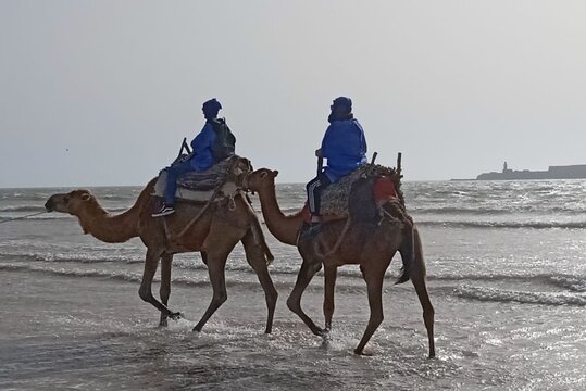 Tour image 3
