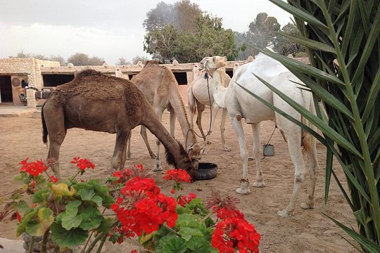 Tour image 6