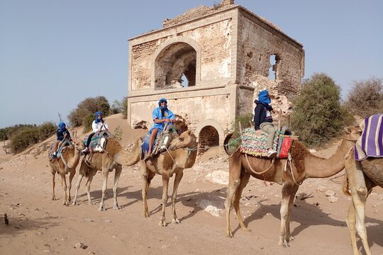 Tour image 7