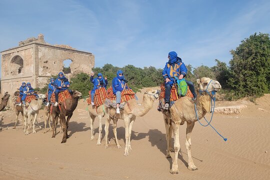 Tour image 6