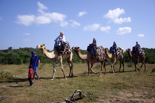 Tour image 2
